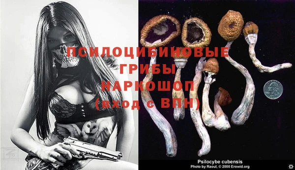 винт Баксан