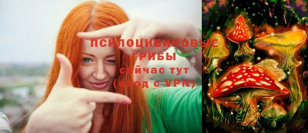 винт Баксан