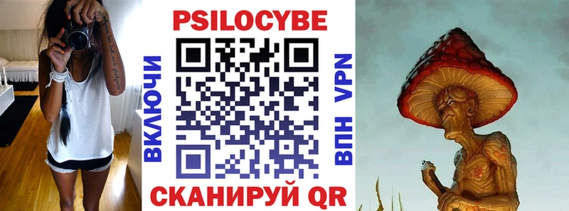 kraken как войти  Вышний Волочёк  Псилоцибиновые грибы GOLDEN TEACHER 